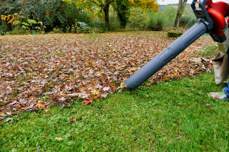 Top Rated Leaf Removal Products