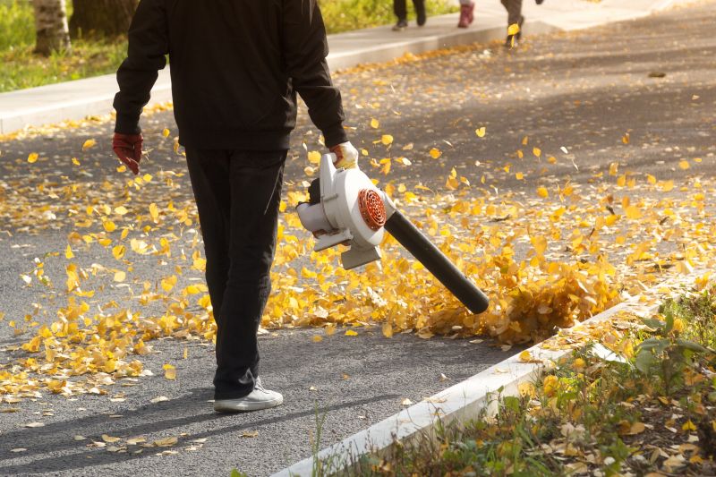 Leaf Removal
