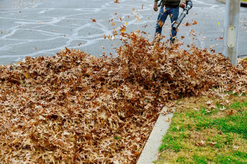 Effective Leaf Removal Solutions — Cost of Leaf Removal