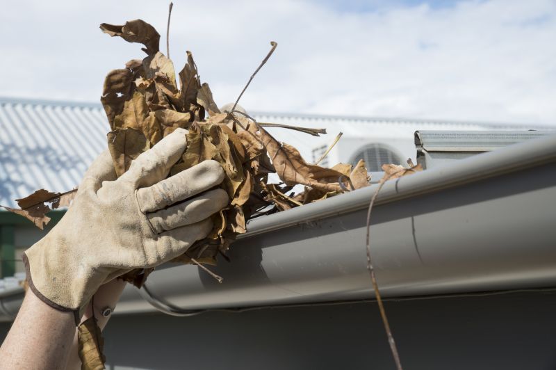 Effective Leaf Removal Solutions — Cost of Leaf Removal