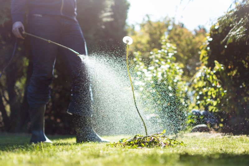 Effective Leaf Removal Solutions — Cost of Leaf Removal