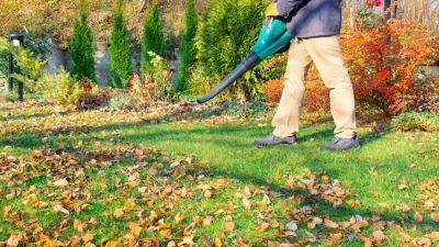 Get Leaves Blown by a Pro!