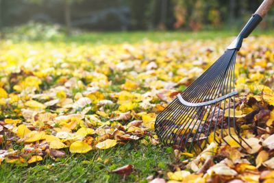 Leaf Raking Service!