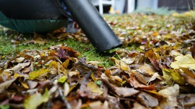 Leaf Vacuuming Service!
